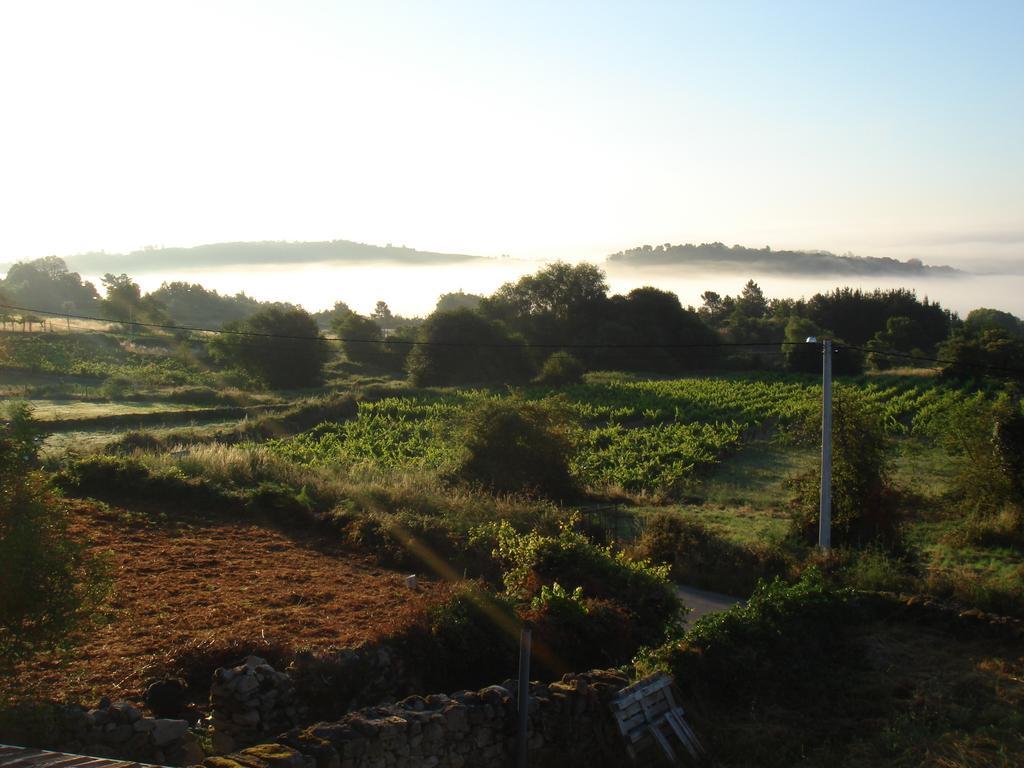 O Canto Da Terra Pantón Kamer foto